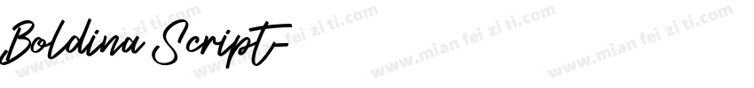 Boldina Script字体转换
